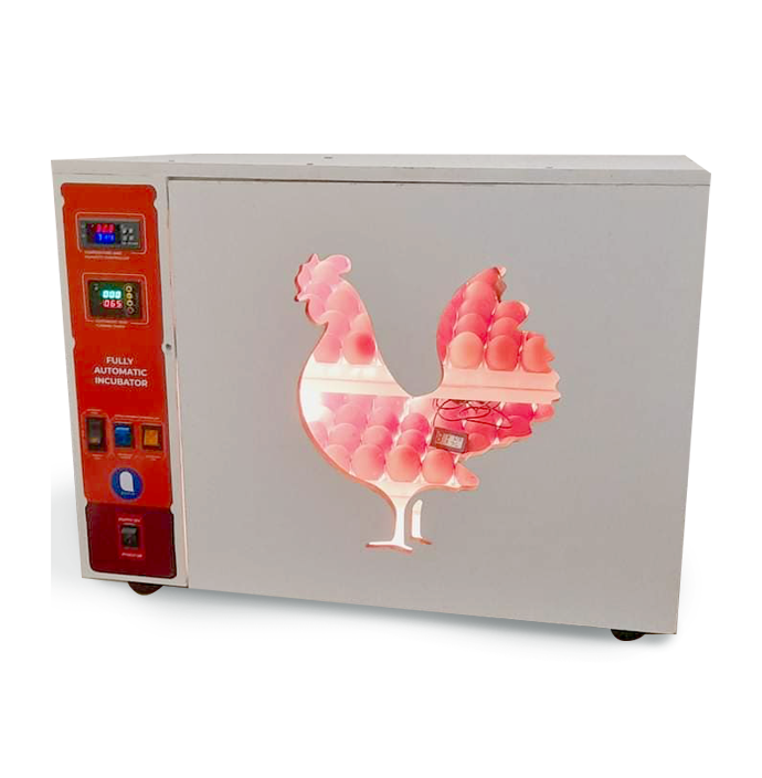 176-egg-Ceylon-chicks-chicks-farming-chicks-eggs-විසින්-ශ්‍රී-ලංකාවේ-සාදන-ලද-ස්වයංක්‍රීය-ඉන්කියුබේටරය