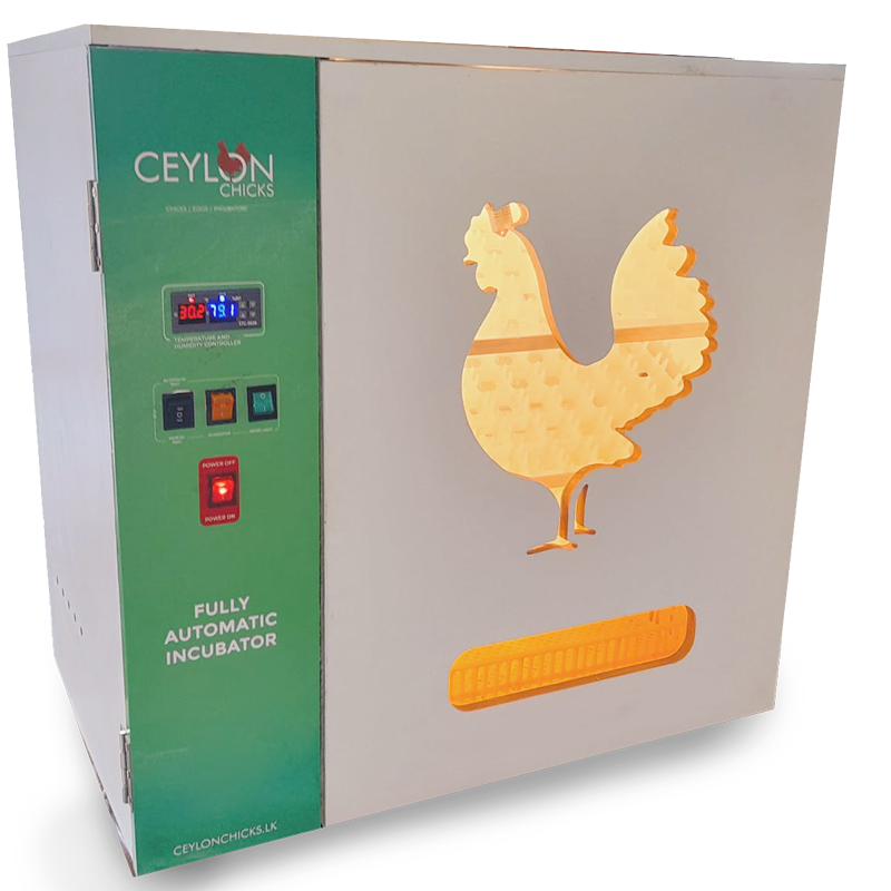 Ceylon chicks kicks farming chicks eggs විසින් ශ්රී ලංකාවේ සාදන ලද ස්වයංක්රීය ඉන්කියුබේටරය<br />
Ceylon chicks kicks farming chicks eggs visin śrī laṁkāvē sādana lada svayaṁkrīya inkiyubēṭaraya