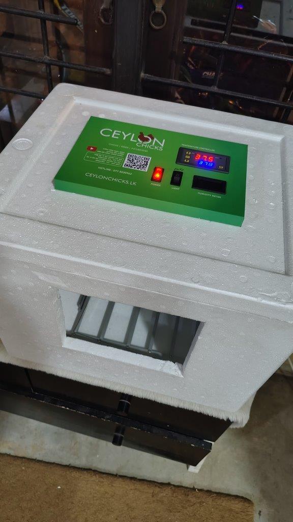 https://ceylonchicks.lk/manual-rigi-foam-styro-foam-thermacoal-incubator-inkubator
